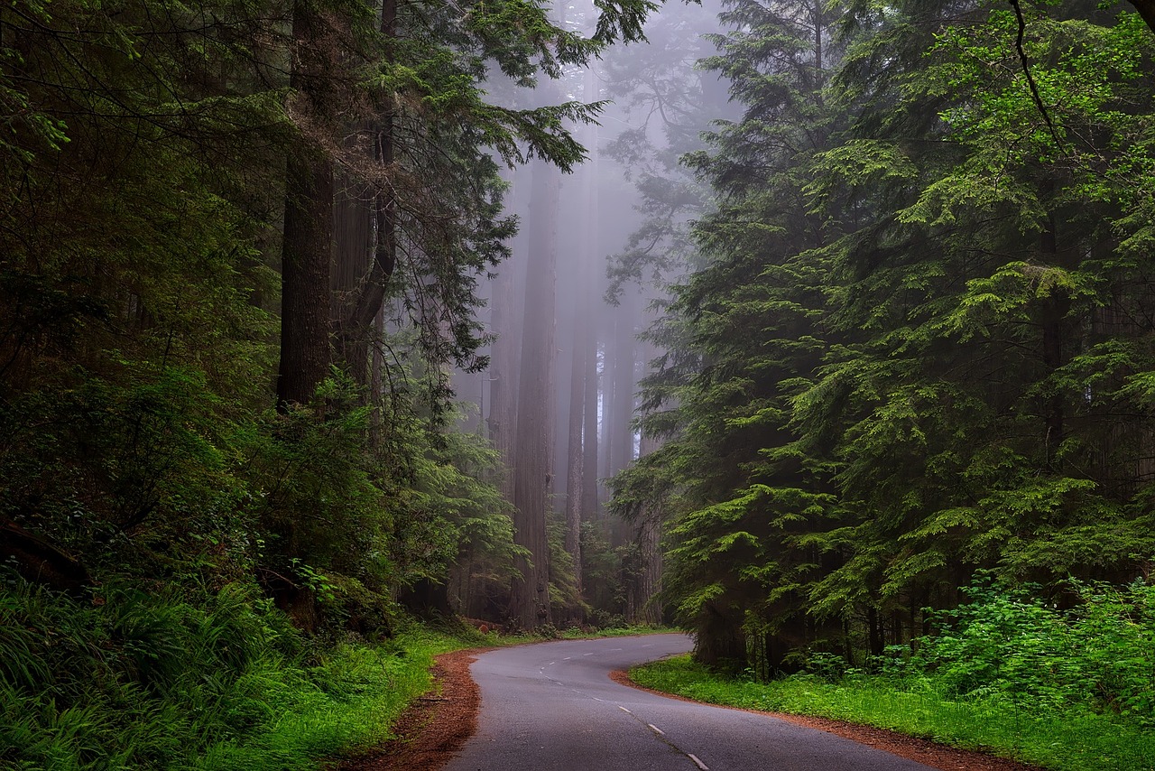 More information about "Διαγωνισμός Smart Forest Innovation Challenge"