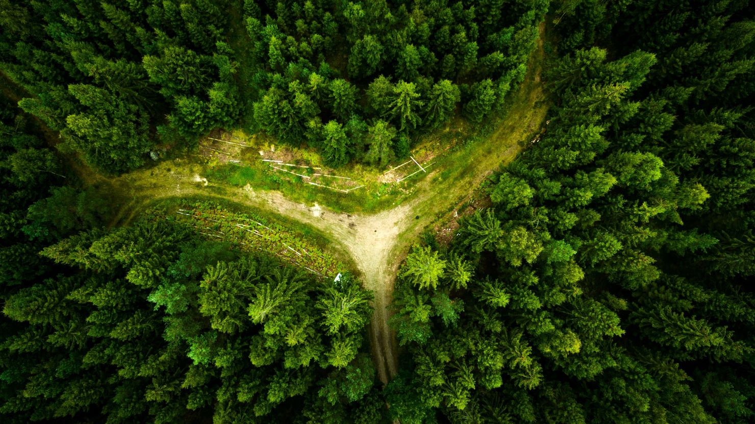 More information about "Δασικοί χάρτες: Αναλυτικός οδηγός για τους ιδιοκτήτες δασικών εκτάσεων"