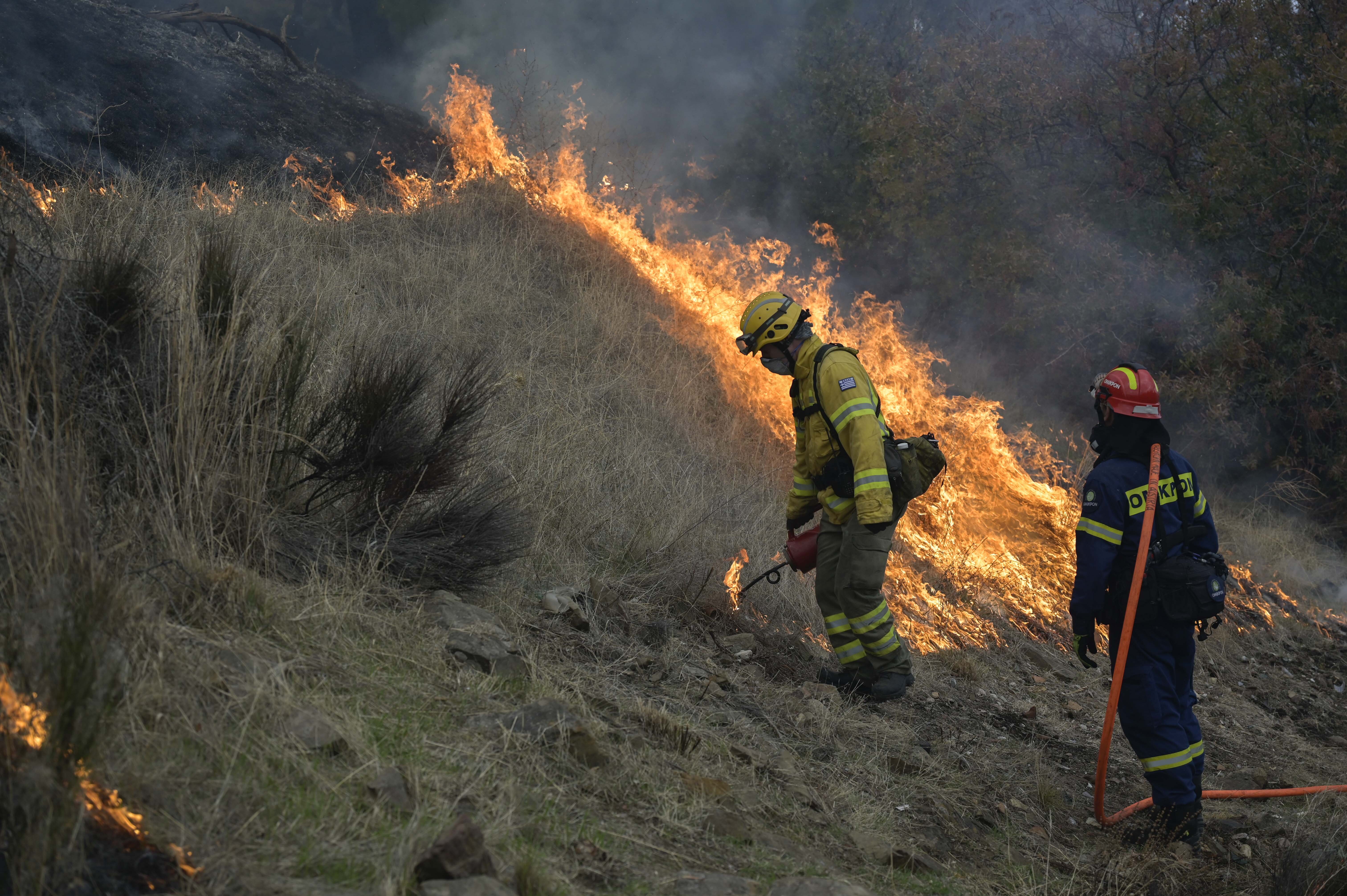 More information about "Πιλοτικό έργο προδιαγεγραμμένης καύσης στην Χίο, για την πρόληψη δασικών πυρκαγιών"