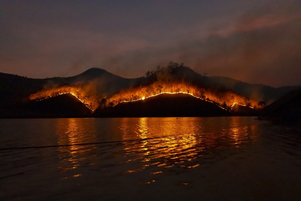 More information about "Η σχέση των δασικών πυρκαγιών με την εγκατάσταση ανεμογεννητριών στις αναδασωτέες εκτάσεις"