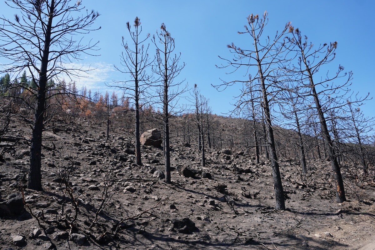 More information about "Η επίδραση των πυρκαγιών στις ιδιότητες των δασικών εδαφών της Ελλάδας"