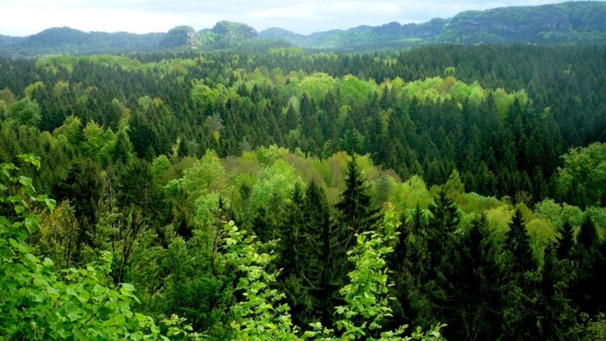 More information about "Παράταση έως τις 21 Ιουνίου για την εφαρμογή των μέτρων πυροπροστασίας δασικών ακινήτων"