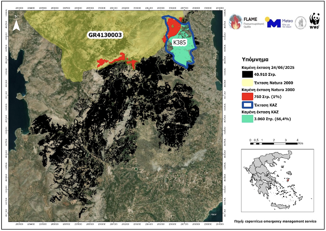 More information about "Χίος: Ανάλυση της πυρκαγιάς"