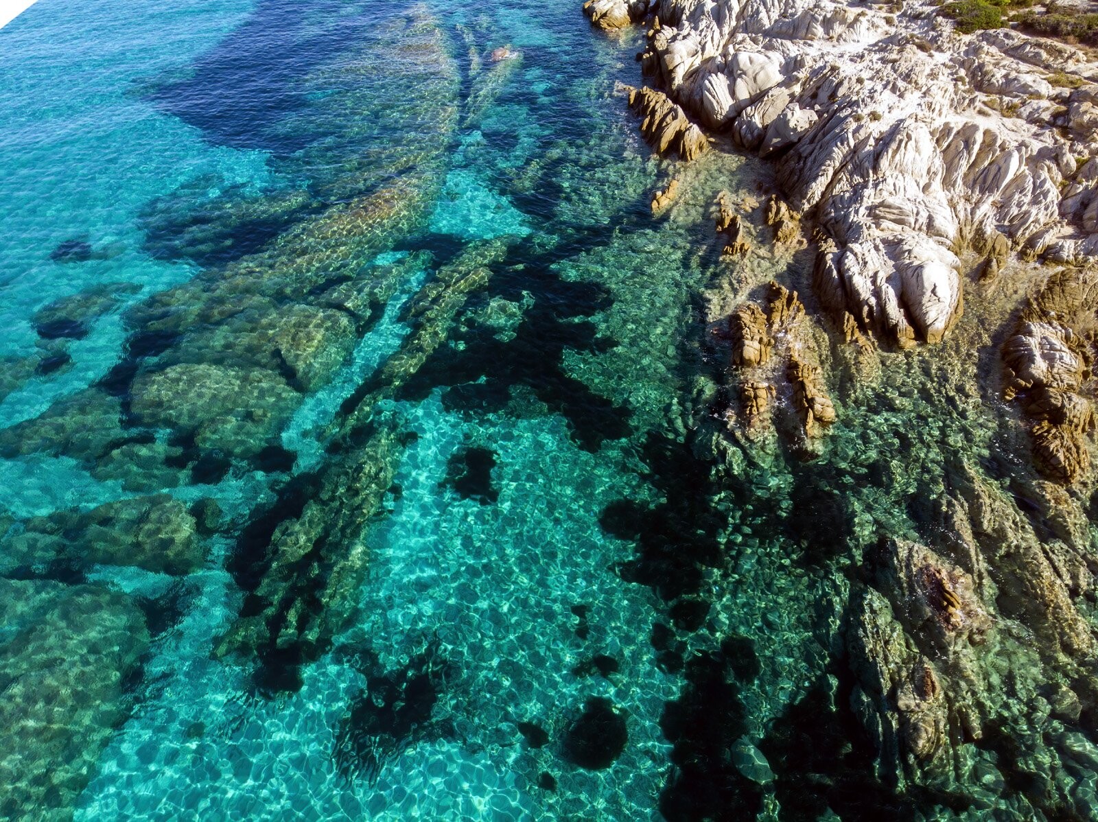 More information about "Σε δημόσια διαβούλευση τα δύο νέα Εθνικά Θαλάσσια Πάρκα σε Νότιες Κυκλάδες και Ιόνιο"