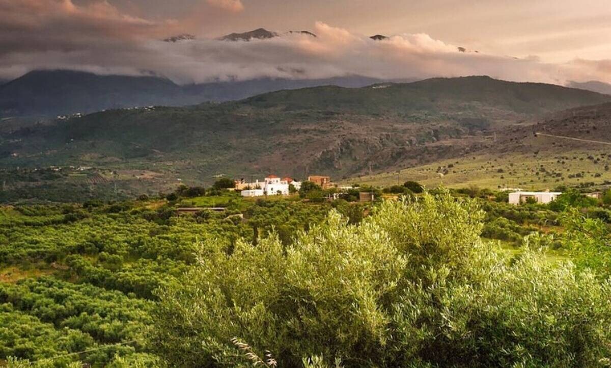 More information about "Οι αλλαγές στις μεταβιβάσεις ακινήτων που επέφεραν Δασικοί Χάρτες και Κτηματολόγιο"