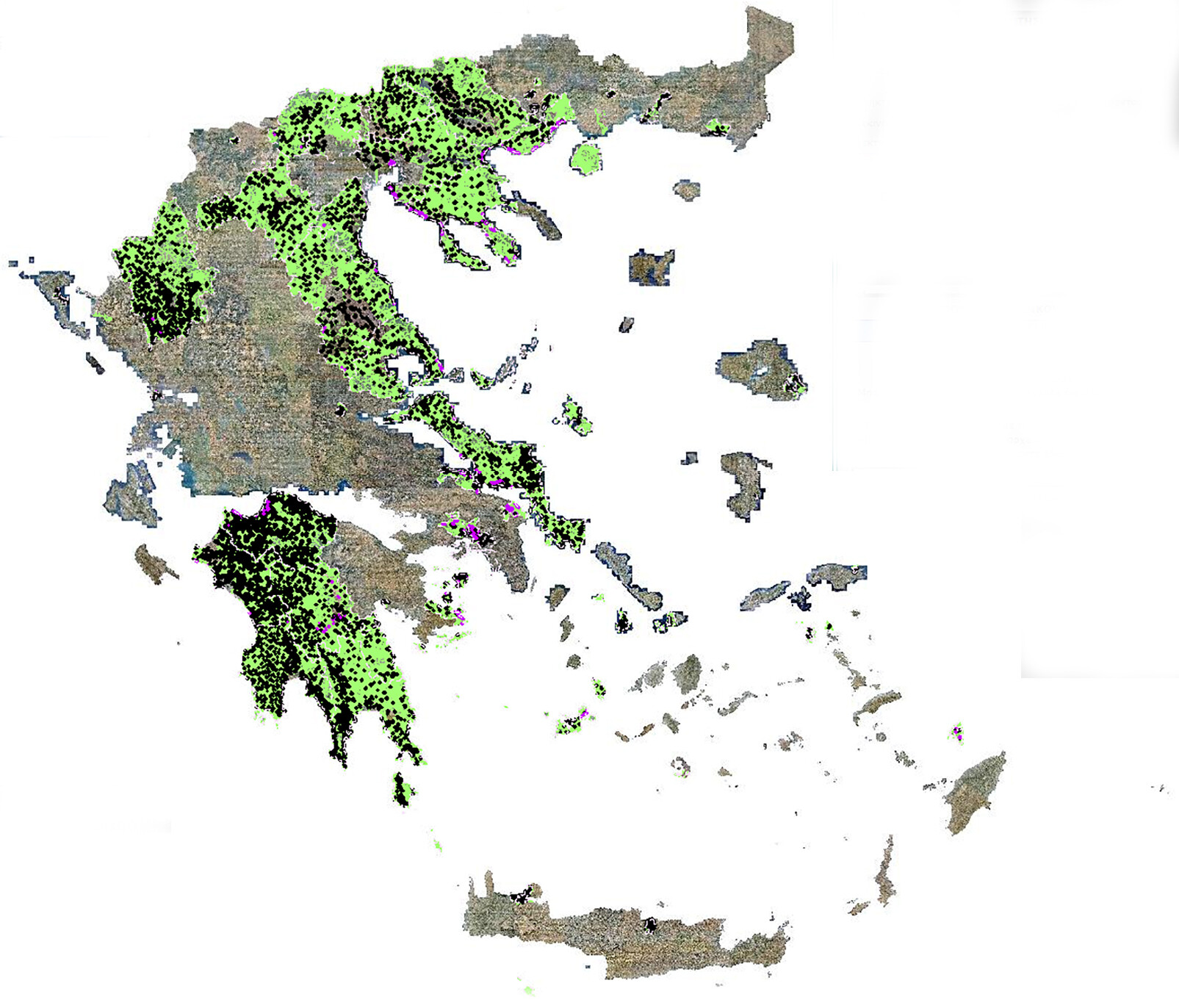 More information about "«Δασοπονικές Μελέτες Διαχείρισης Δασικών Οικοσυστημάτων»: Διενέργεια διακήρυξης ανοικτής διαδικασίας άνω των ορίων σε τμήματα για την επιλογή αναδόχων για το έργο"